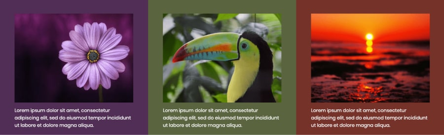 Image Average Color Usage Example